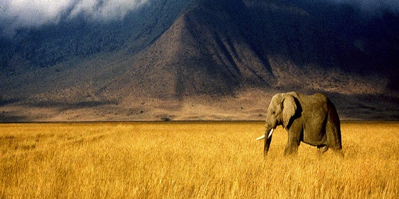 Tanzania day-trips-tour-cost-packages